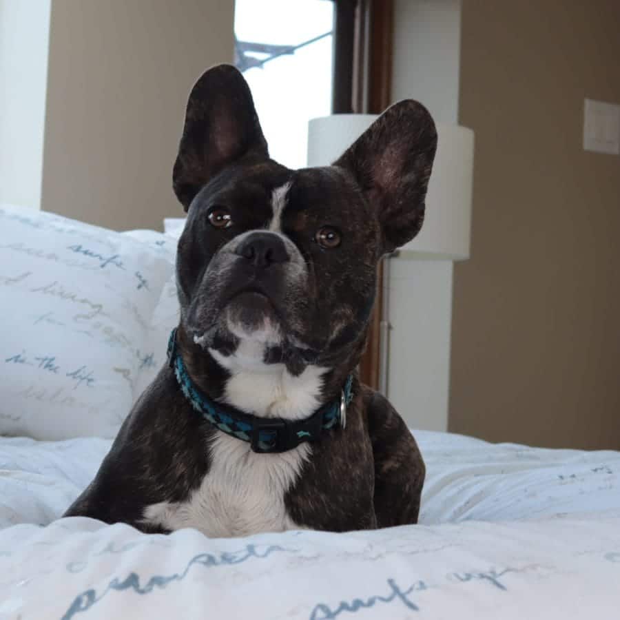 Which Bed Safety Products are Right for you?